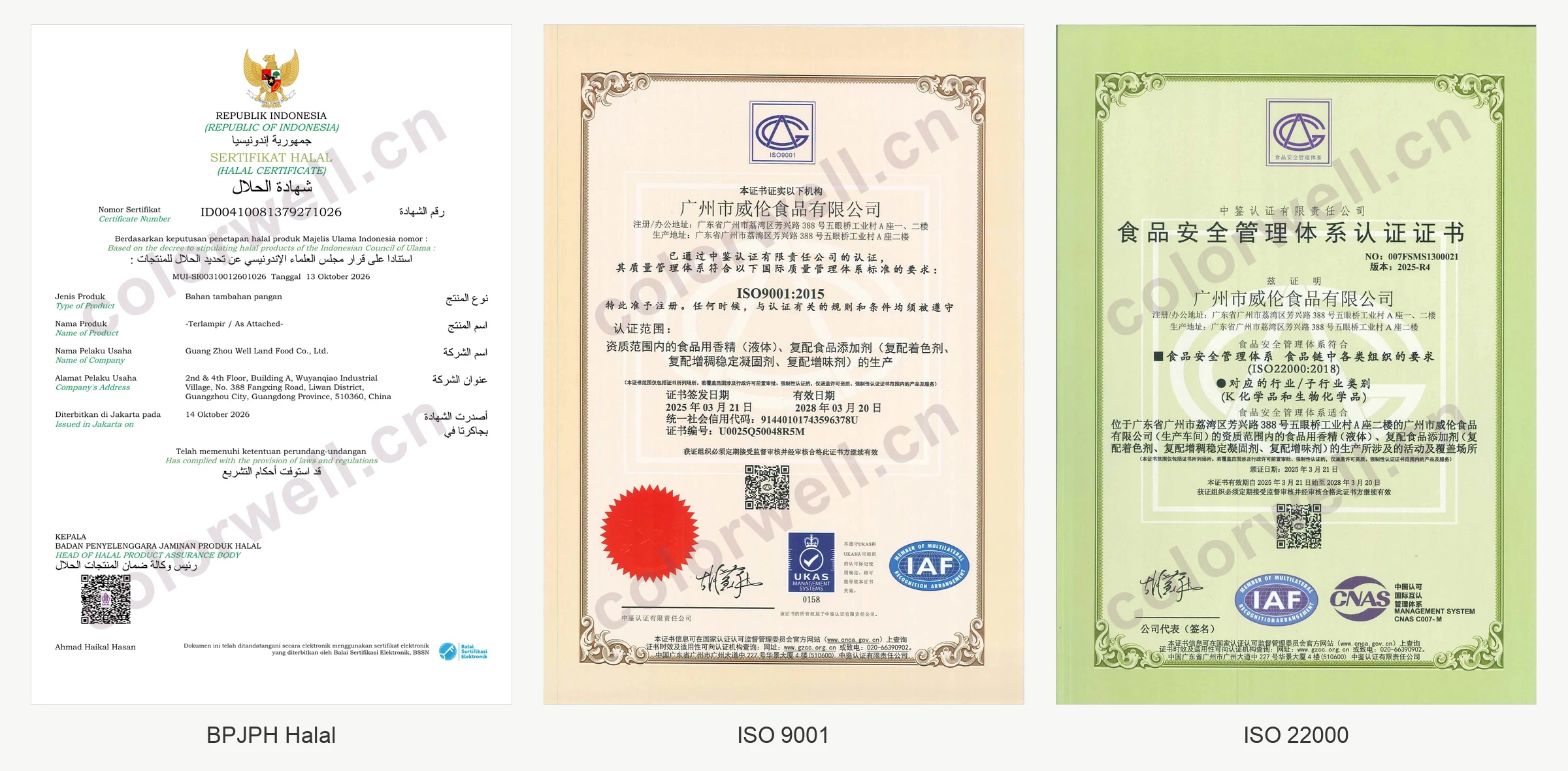 威伦食品 BPJPH 清真认证、ISO 9001 质量管理体系认证和 ISO 22000 食品安全管理体系认证证书首页横向缩略图，按从左至右排列